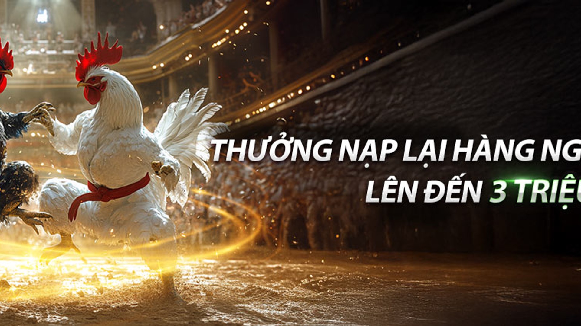 Hình ảnh đá gà trực tuyến sôi động tại F8BET80